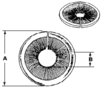 disc-seal-inside