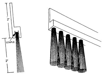 flexible-strip-brushes350 (1)